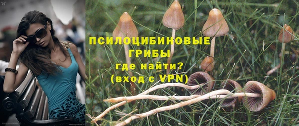 амфетамин Богданович